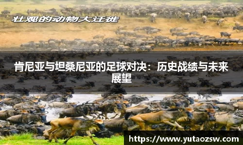 球速体育官方app
